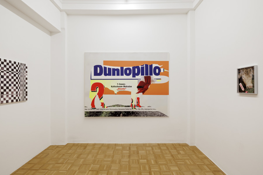 Exhibition view, Kühe und Pferde, Galerie Oskar Weiss, Zürich, 2025-2026. Photo credit: Gina Folly