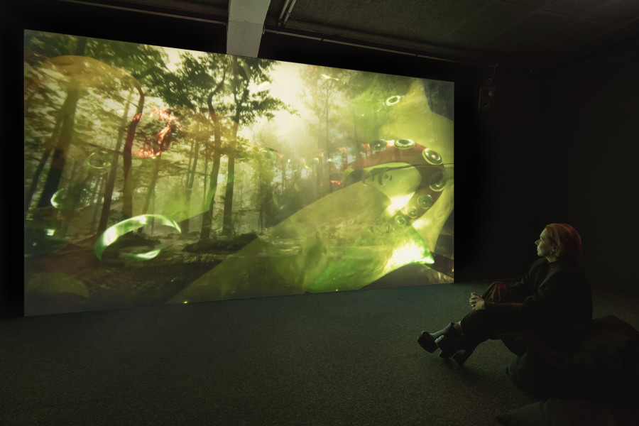 Libby Heaney, Q is Climate (?), 2023 «Libby Heaney: Quantum Soup», 2024, HEK, photo: Franz Wamhof