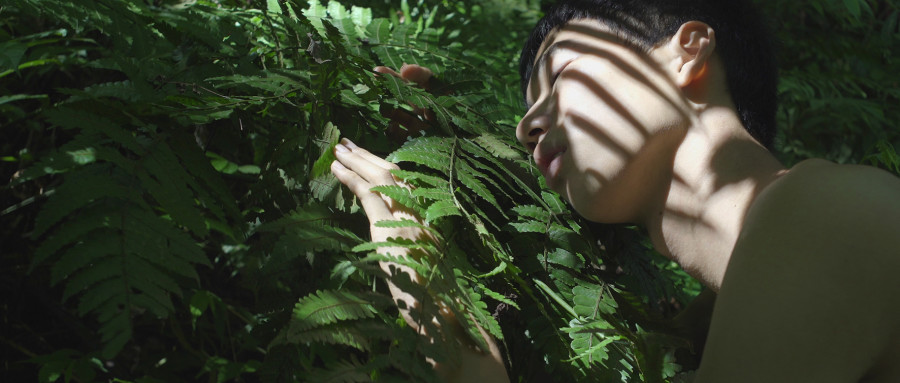 Zheng Bo, Pteridophilia 1, 2016, Videostill, Courtesy the artist and Edouard Malingue Gallery