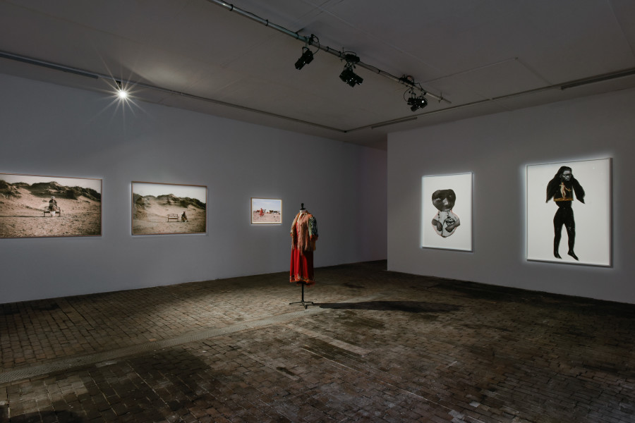 Exhibition view of Chrysalis: The Butterfly Dream at Centre d’Art Contemporain Genève (January 25‒June 4, 2023). © Centre d’Art Contemporain Genève. Photo: Mathilda Olmi