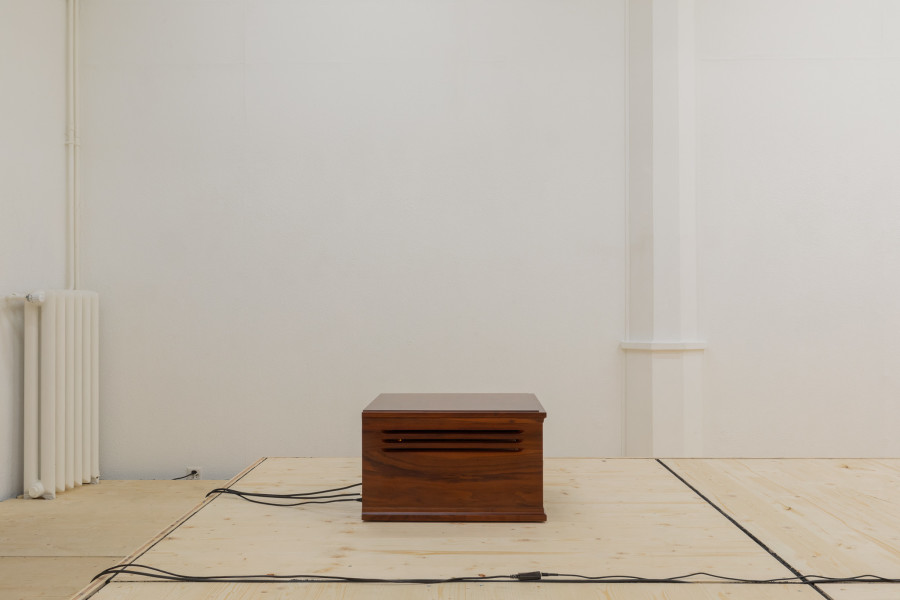 Installation view, SOMA5, Tobias Maria Koch, KRONE COURONNE, 2025. Photo credit: Guadalupe Ruiz