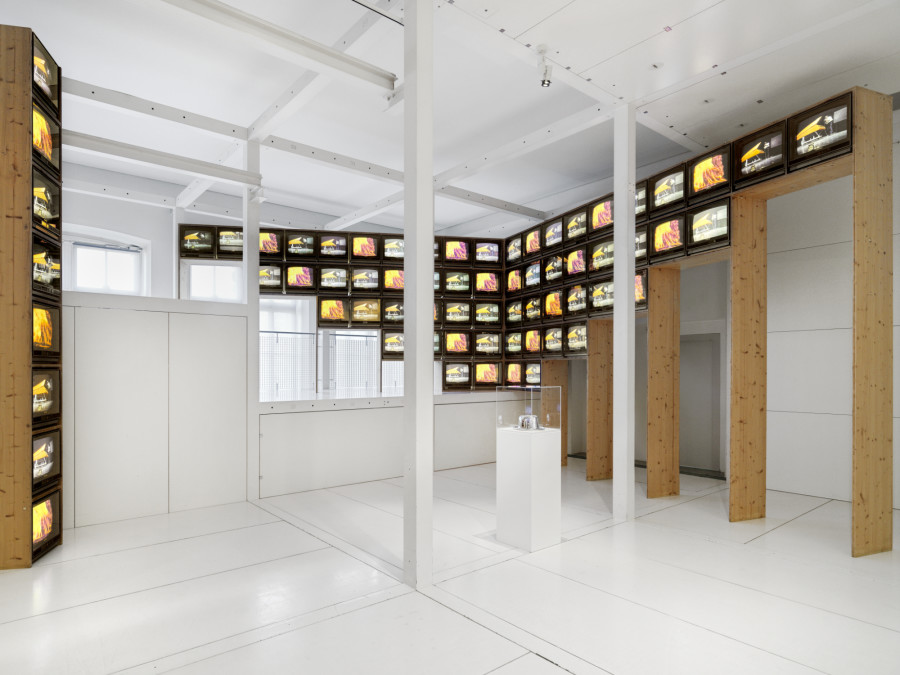 Unexpected Encounters, New Perspectives on the Collection, Installation view, 2023, Kunstmuseum St.Gallen, Photo: Stefan Altenburger.