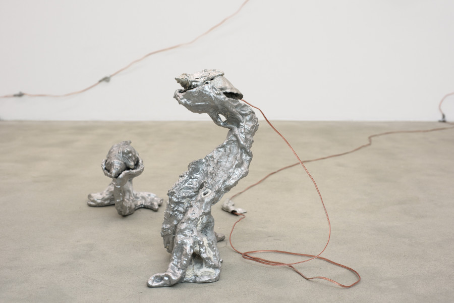 Alyona Hrekova, The border that breathes, detail, 2025, Installation view Revolt Against the Sun!, Graduation Exhibition Bachelor and Master Institute Art Gender Nature HGK Basel FHNW, Kunsthaus Baselland, 2025, photo: Christian Knörr