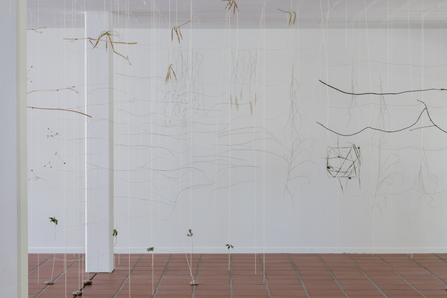 Julia Steiner, «Partitur der Natur», 2023. Ortsspezifische Installation. Baumwollgarn, Pflanzenteile, Flusssteine. Foto: Ullmann.Photography
