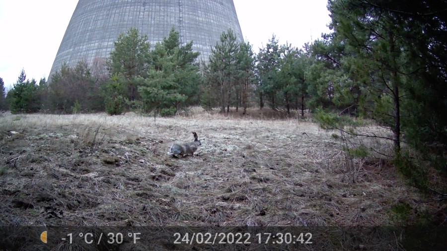 Anna Jermolaewa, Chernobyl Safari, 2014/23, Video still. Courtesy of the artist. © Kunsthaus Bregenz, Anna Jermolaewa, Bildrecht, Wien, 2023