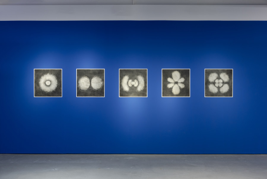 Semiconductor, Probable Drawings, 2025, «Quantum Visions», 2025, HEK, photo: Franz Wamhof