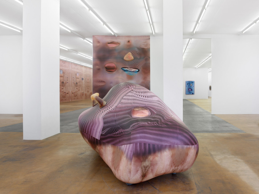 Tishan Hsu, vue d'exposition, MAMCO, 2024. Photo: Annik Wetter