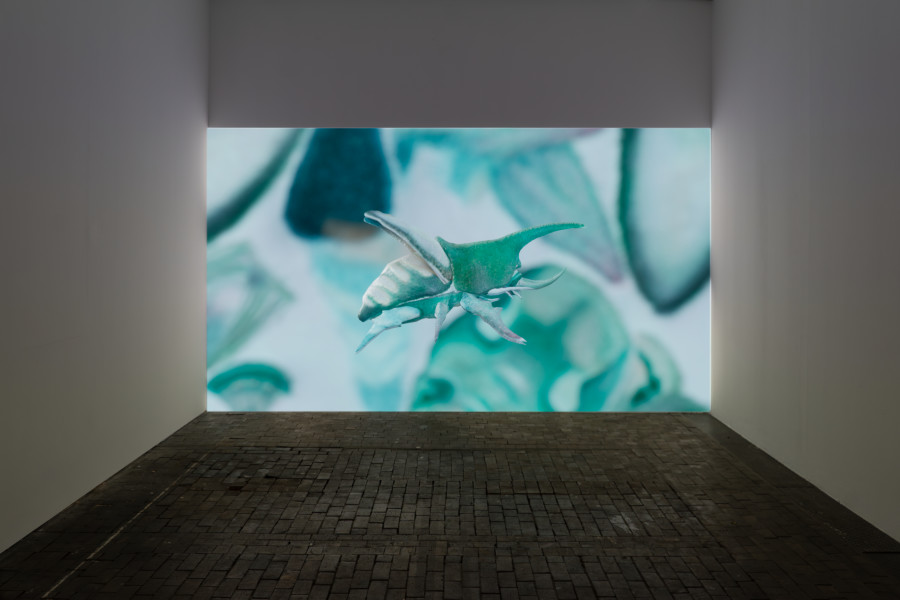 Exhibition view of Bourses de la Ville de Genève 2024 at Centre d’Art Contemporain Genève (04.10‒04.11.2024). © Centre d’Art Contemporain Genève. Photo : Julien Girard