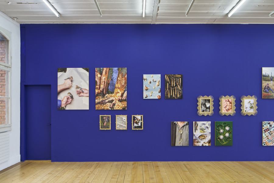 Exhibition view, Laurence Kubski, Sauvages, Kunsthalle Friart Fribourg, 2024. Photo: Guillaume Python. Courtesy of the artist and Kunsthalle Friart Fribourg