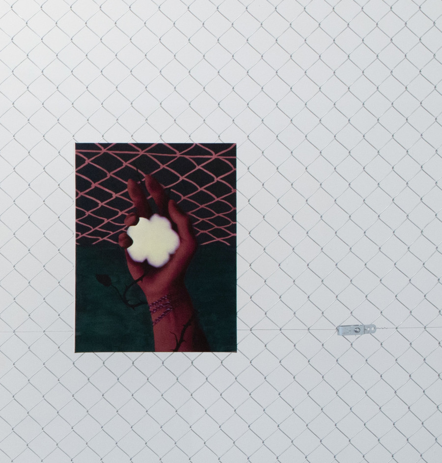Exhibition view, David Weishaar, The Rose is without ‘Why’, KALI Gallery, 2022. Photo credit @vogeleye and @KALI Gallery Lucerne