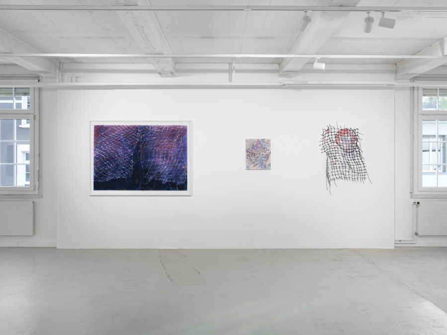Exhibition view, Sophie Bouvier Ausländer, Climatérique, Galerie Heinzer Reszler, 2023. Photo credit: Julien Gremaud