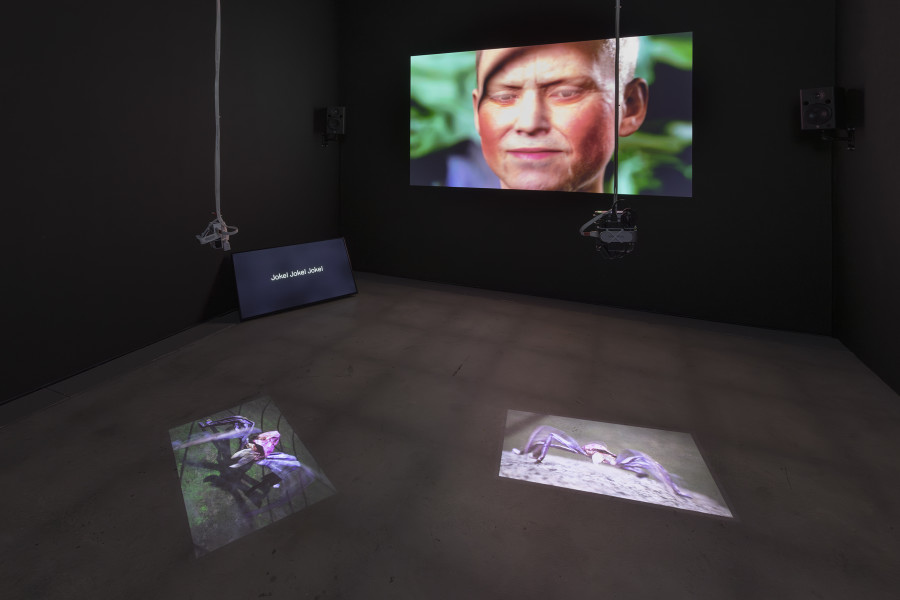 Rhona Mühlebach, Antechamber of Supporting Characters, 2024, «Lukas Truniger, Isabell Bullerschen, Rhona Mühlebach – Swiss Media Art – Pax Art Awards 2025», 2026, HEK, photo: Franz Wamhof