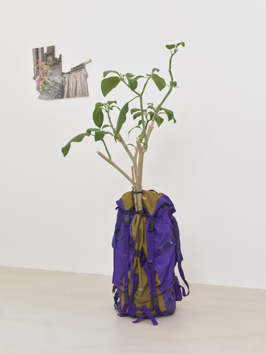 Installation view, Jasmin Werner, Apparat Kleptokrat, Damien & The Love Guru, Zürich, 2025. Courtesy of the artist and Damien & The Love Guru, Brussels/Zurich. Photography : Felix Jungo