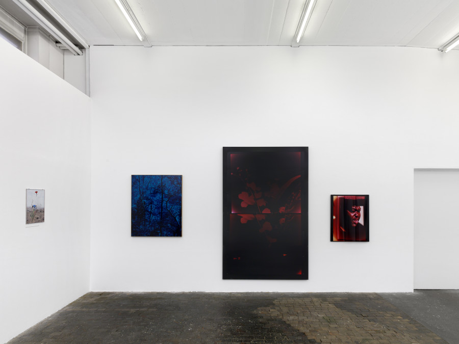 Installation view, MAKING LIGHT OF EVERY THING, Centre de la photographie Genève, 2024. Photo credit: Annick Wetter