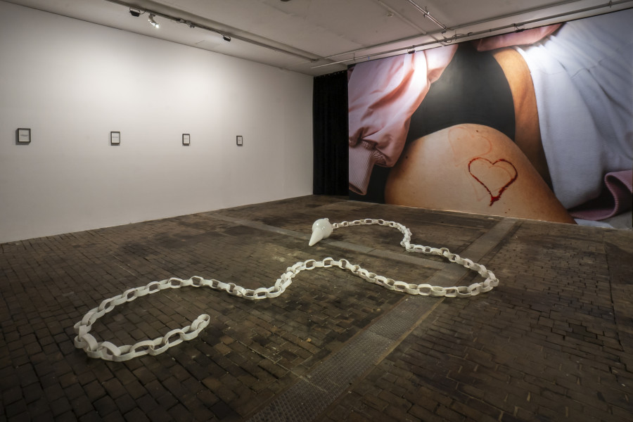 Exhibition view of Bourses de la Ville de Genève 2024 at Centre d’Art Contemporain Genève (04.10‒04.11.2024). © Centre d’Art Contemporain Genève. Photo : Julien Girard