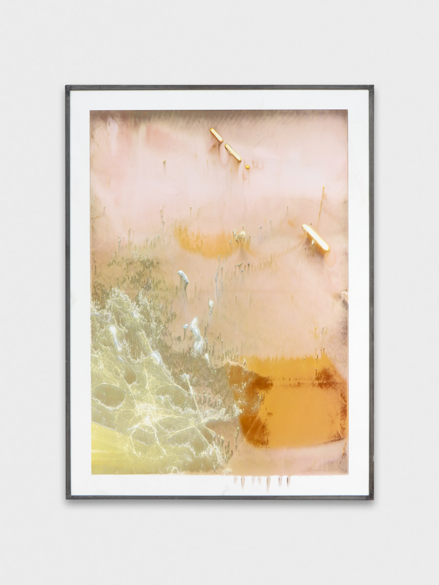 Jean-Vincent Simonet, Spiderweb (heirloom), 2022, Inkjet print on plastic foil, fingertips intervention, handmade lead frame, anti-reflective glass, 42 × 31cm. Photography: Philipp Rupp / Julien Gremaud. Courtesy of Sentiment and the artist