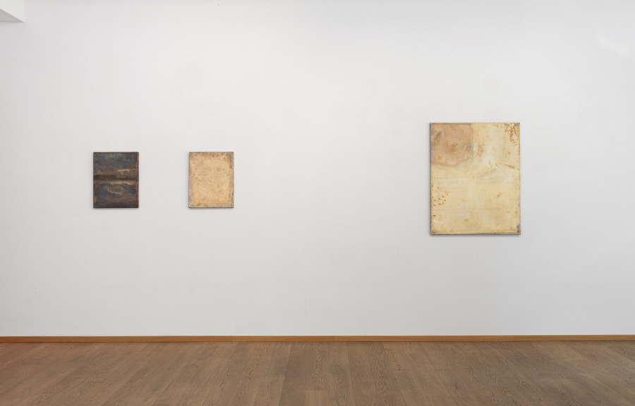 Installation view, Olaf Holzapfel and Michael Sailstofer, Speaking through substance, Livie Gallery, 2025. Photo credit: Esther Mathis