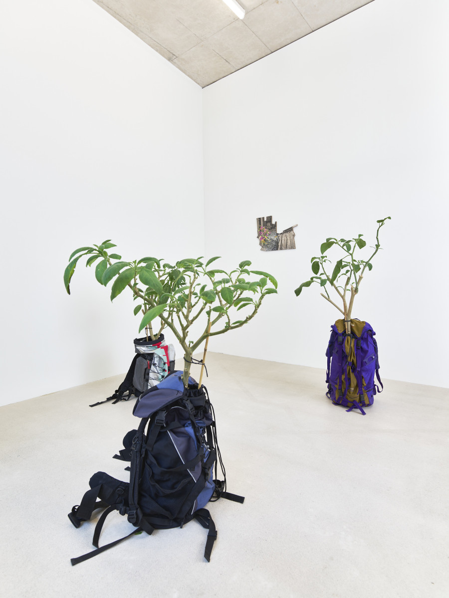 Installation view, Jasmin Werner, Apparat Kleptokrat, Damien & The Love Guru, Zürich, 2025. Courtesy of the artist and Damien & The Love Guru, Brussels/Zurich. Photography : Felix Jungo