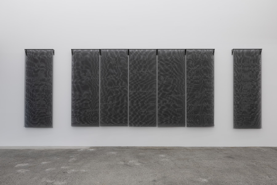 Therese Bolliger, Correspondences (Meret), 1998. Courtesy the artist.; Ausstellungsansicht / Installation view Kunsthaus Baselland 2024. Foto / Photo: Gina Folly