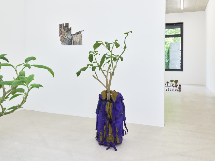 Installation view, Jasmin Werner, Apparat Kleptokrat, Damien & The Love Guru, Zürich, 2025. Courtesy of the artist and Damien & The Love Guru, Brussels/Zurich. Photography : Felix Jungo