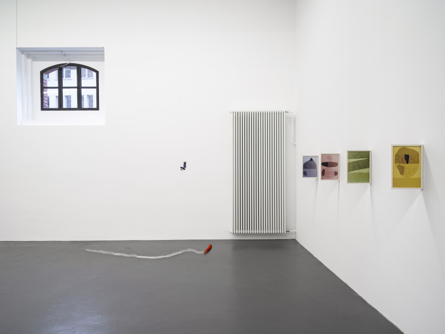 Installation view, Dietrich, curated by Anne Pontégnie, Galerie Francesca Pia, Zurich, 2024. Photo: Cedric Mussano