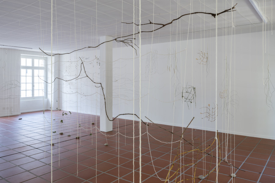 Julia Steiner, «Partitur der Natur», 2023. Ortsspezifische Installation. Baumwollgarn, Pflanzenteile, Flusssteine. Foto: Ullmann.Photography
