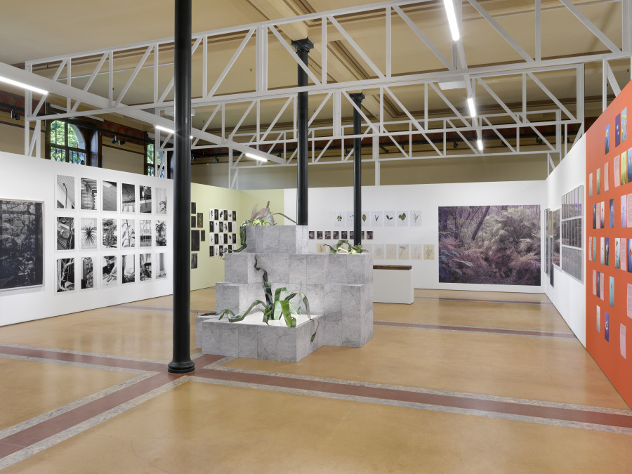 Installation view, Bruissements végétaux, Centre de la photographie Genève, 2025. Photo credit: Annnik Wetter