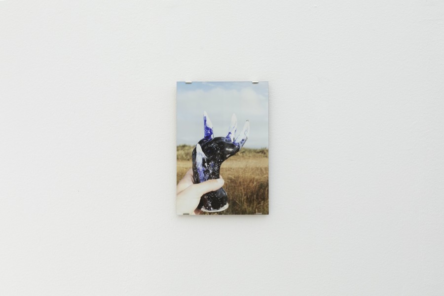 Claw Inkjet Print on Baryta Paper Edition of 20 29,5 x 21 cm, Markéta Jachimova, MY HANDS, KALI Gallery, Installation view, 2022