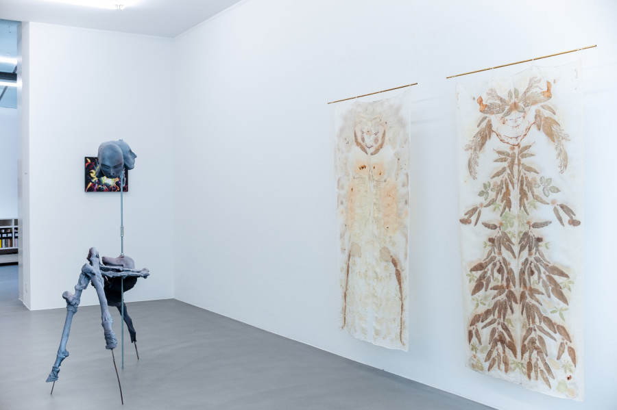 The Chimera Complex, Mai 36 Galerie, Installation view, 2023.