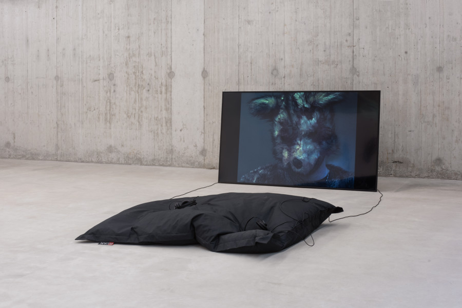 Riccy Kuno, Stray, 2025, Installation view Revolt Against the Sun!, Graduation Exhibition Bachelor and Master Institute Art Gender Nature HGK Basel FHNW, Kunsthaus Baselland, 2025, photo: Christian Knörr