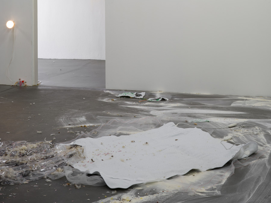 Jason Dodge, installation view, Kunsthalle Friart Fribourg, 2026. Photo: Cedric Mussano