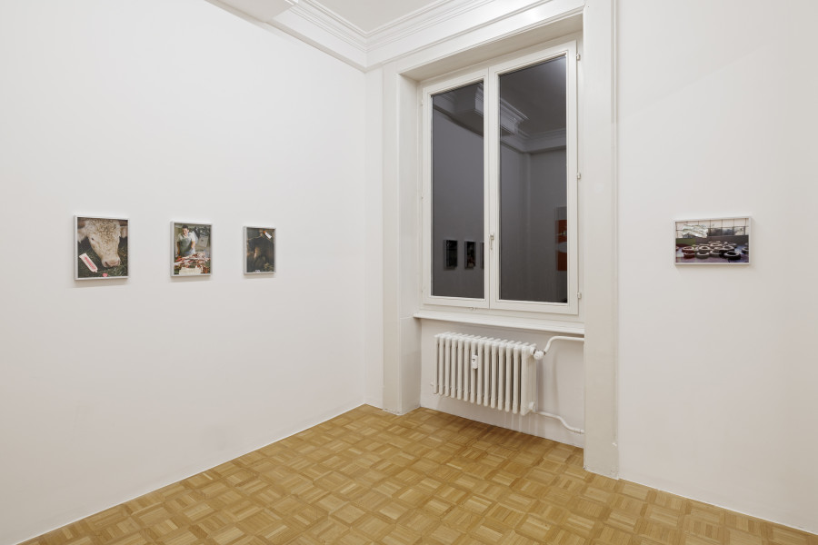 Exhibition view, Kühe und Pferde, Galerie Oskar Weiss, Zürich, 2025-2026. Photo credit: Gina Folly