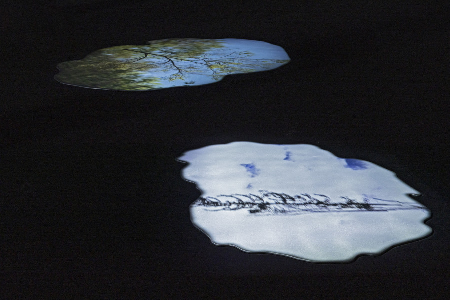 Sonja Feldmeier, Slow Fox, 2024/2025. Courtesy the artist. Ausstellungsansicht Kunsthaus Baselland 2025. Foto: Gina Folly