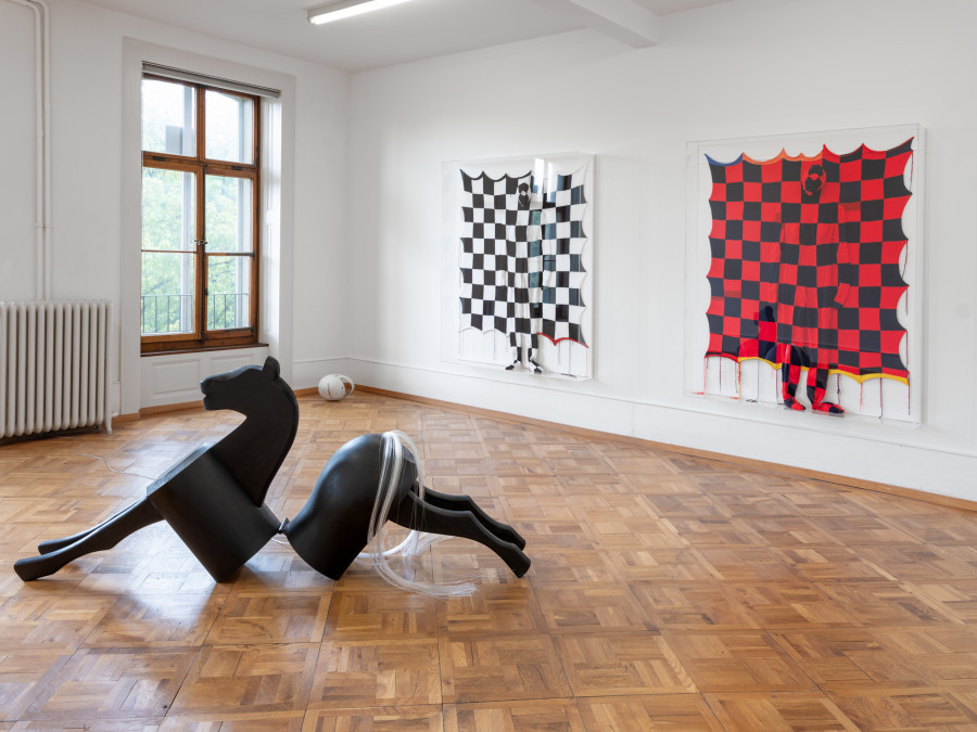 Exhibition view, Alexandra Bircken, SomaSemaSoma, Kunsthaus Biel Centre d’art Bienne, 2025. Photo credit: Lea Kunz