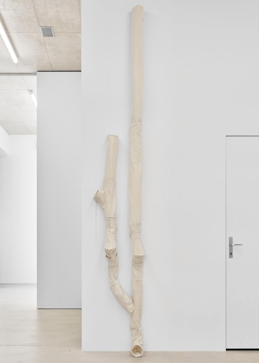Christiane Blattmann, Soft Drain, 2025, Canvas, aluminum, Variable dimensions. Damien & The Love Guru, 2025. Courtesy of the artist and Damien & The Love Guru, Brussels/Zurich. Photography : Felix Jungo