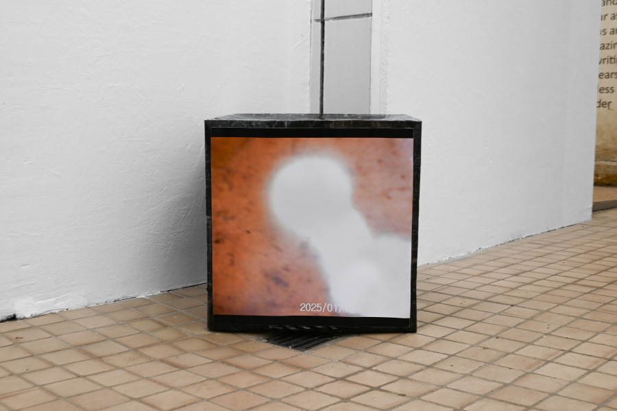 Sean Morel, "Brain in a Pipe Video Stills (203)," no date, 30,48 x 30,48 x 30,48 cm. CAConrad, Jan Domicz, Gina Folly, Germaine Koh, Devin T. Mays, Sean Morel (organized by u), "Brain in a Pipe" at Kaiserwache, Freiburg im Breisgau, 2026. Images courtesy of the artists and Kaiserwache. Photo: Stefan Lux.