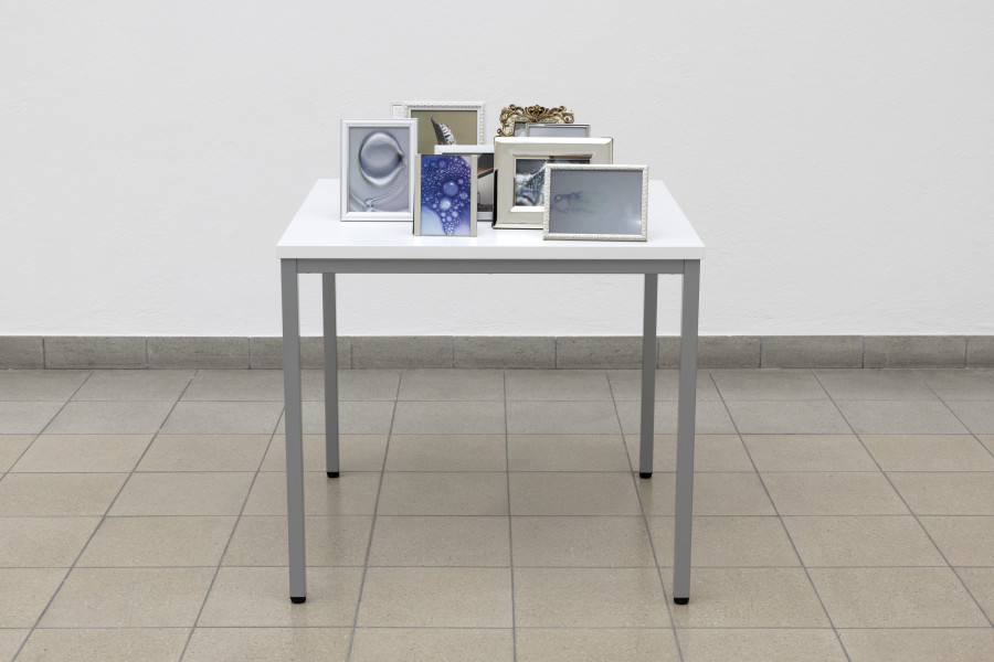 Hélène Fauquet, natural behaviour, 2023. Hélène Fauquet, Phenomena, Ausstellungsansicht / installation view, Kunsthaus Glarus, 2023. Foto / Photo: Gina Folly