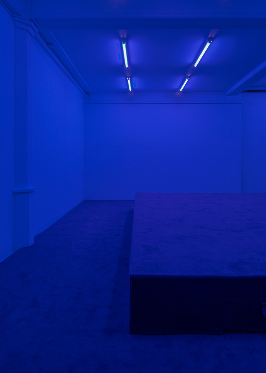 Installation views, SOMA2: Ludwig Berger, 2024. KRONE COURONNE. Photo: © Fabrice Schneider