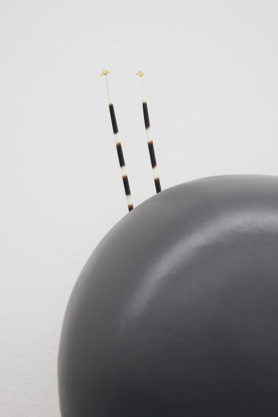 Maude Léonard-Contant, Herbes aux chantres, 2023, blades of grasses, hawthorn petals, magnets, magnolia petals, meadow buttercup, organza, pleated cotton, steel, wood, leather. Photo: Moritz Schermbach