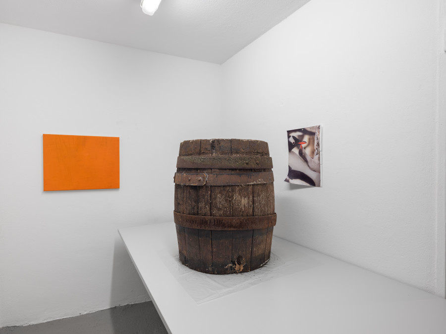 Exhibition view, IM MUELL IM PARK, Matthias Holznagel, Pförtnerhaus Freiburg, 2025.