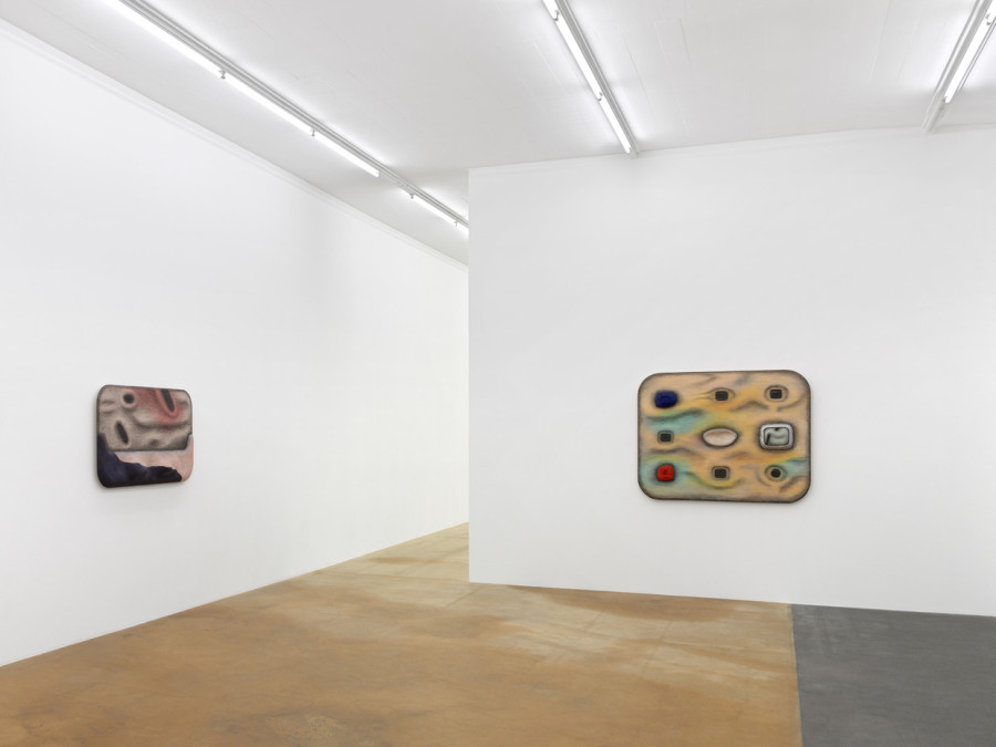 Tishan Hsu, vue d'exposition, MAMCO, 2024. Photo: Annik Wetter