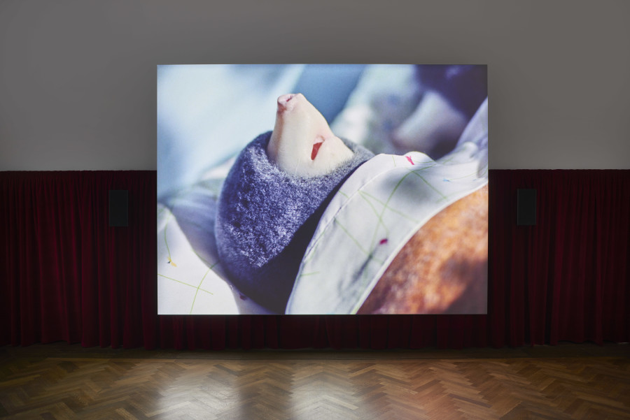 Diego Marcon, Dolle, 2023, detail view, in: Diego Marcon, Have You Checked the Children, Kunsthalle Basel, 2023, photo: Philipp Hänger / Kunsthalle Basel