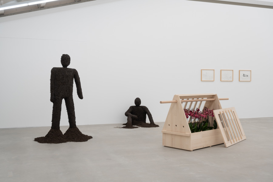 Leonardo Bürgi Tenorio, from shadow to soil, 2025. Ausstellungsansicht / Installation view Kunsthaus Baselland 2025. Courtesy of the artist. Foto / Photo: Finn Curry
