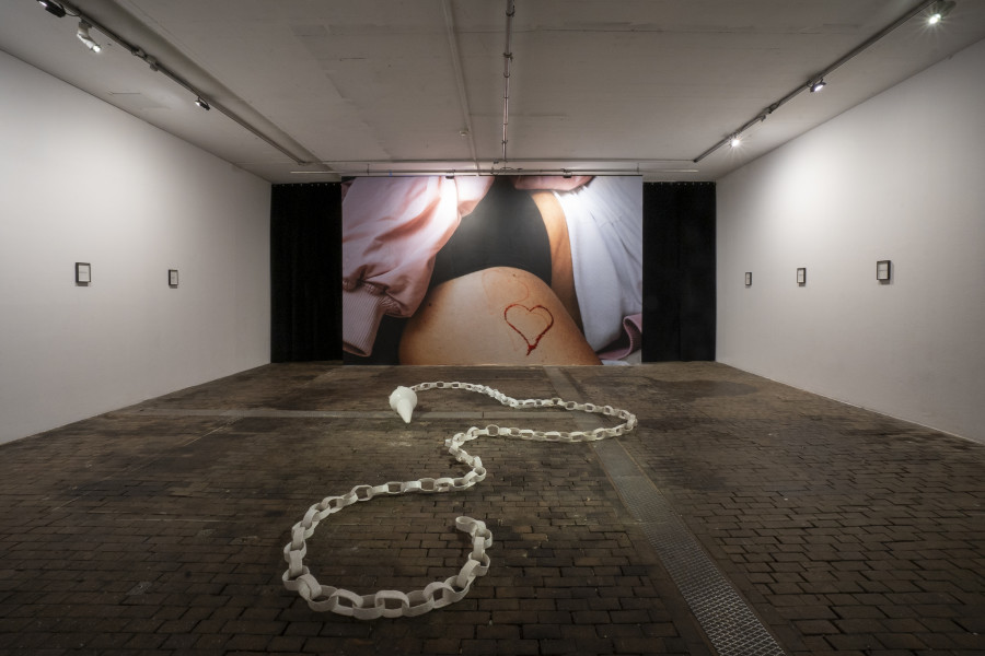 Exhibition view of Bourses de la Ville de Genève 2024 at Centre d’Art Contemporain Genève (04.10‒04.11.2024). © Centre d’Art Contemporain Genève. Photo : Julien Girard
