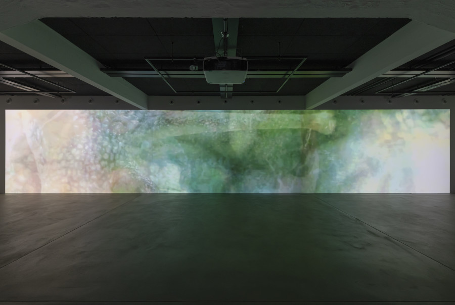 Libby Heaney, slimeQrawl, 2023 «Libby Heaney: Quantum Soup», 2024, HEK, photo: Franz Wamhof