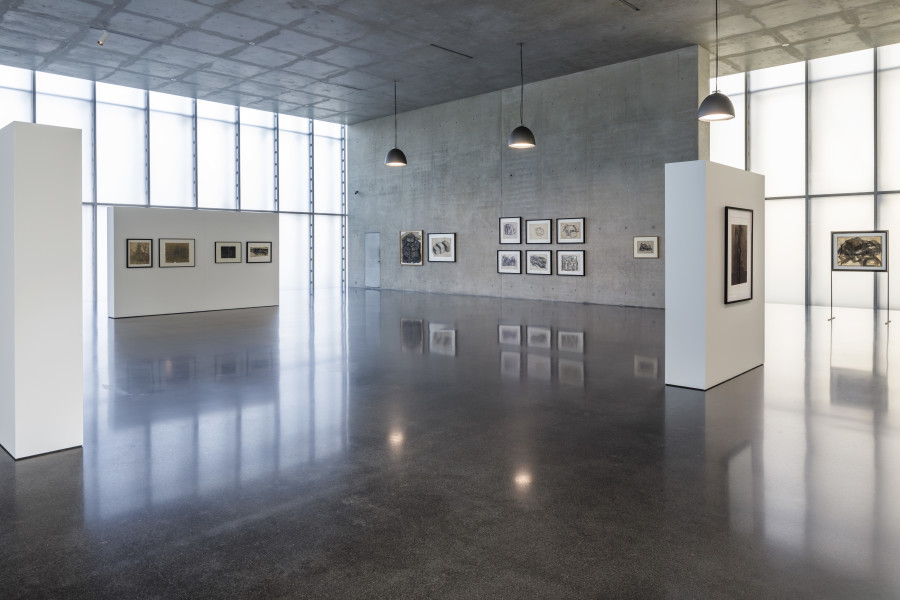 Günter Brus, Exhibition view ground floor Kunsthaus Bregenz, 2024. Photo: Markus Tretter. Courtesy of the artist. © Günter Brus, Kunsthaus Bregenz
