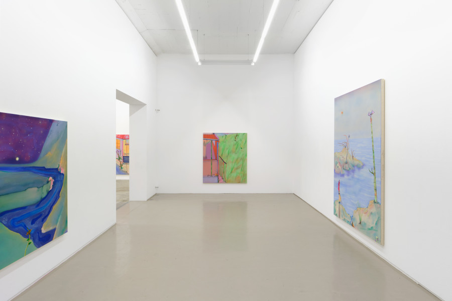 Exhibition view, Fabian Treiber «Most Common Things», Galerie Mark Müller, 2023.