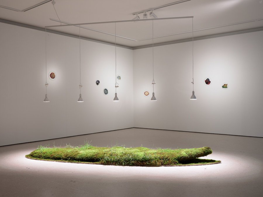 Ausstellungsansicht Eintauchen! Yvonne Christen Vagner. Foto: Ernst Kehrli. © Courtesy of the artist, Kunsthaus Zug