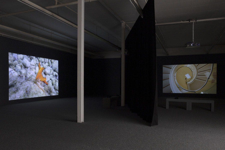 Maya Schweizer, Voices and Shells, 2020, Video, 18 min 10 sec. © Maya Schweizer / 2023, ProLitteris Zürich. Commissioned by Museum Villa Stuck, Munich (2020). Courtesy the artist. Installation view Kunsthaus Baselland 2023. Photo: Gina Folly