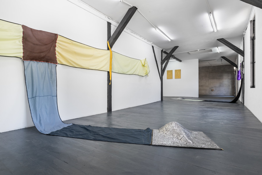 Leila Peacock & Gil Pellaton, Installation view, 2023. Photo: Kilian Bannwart
